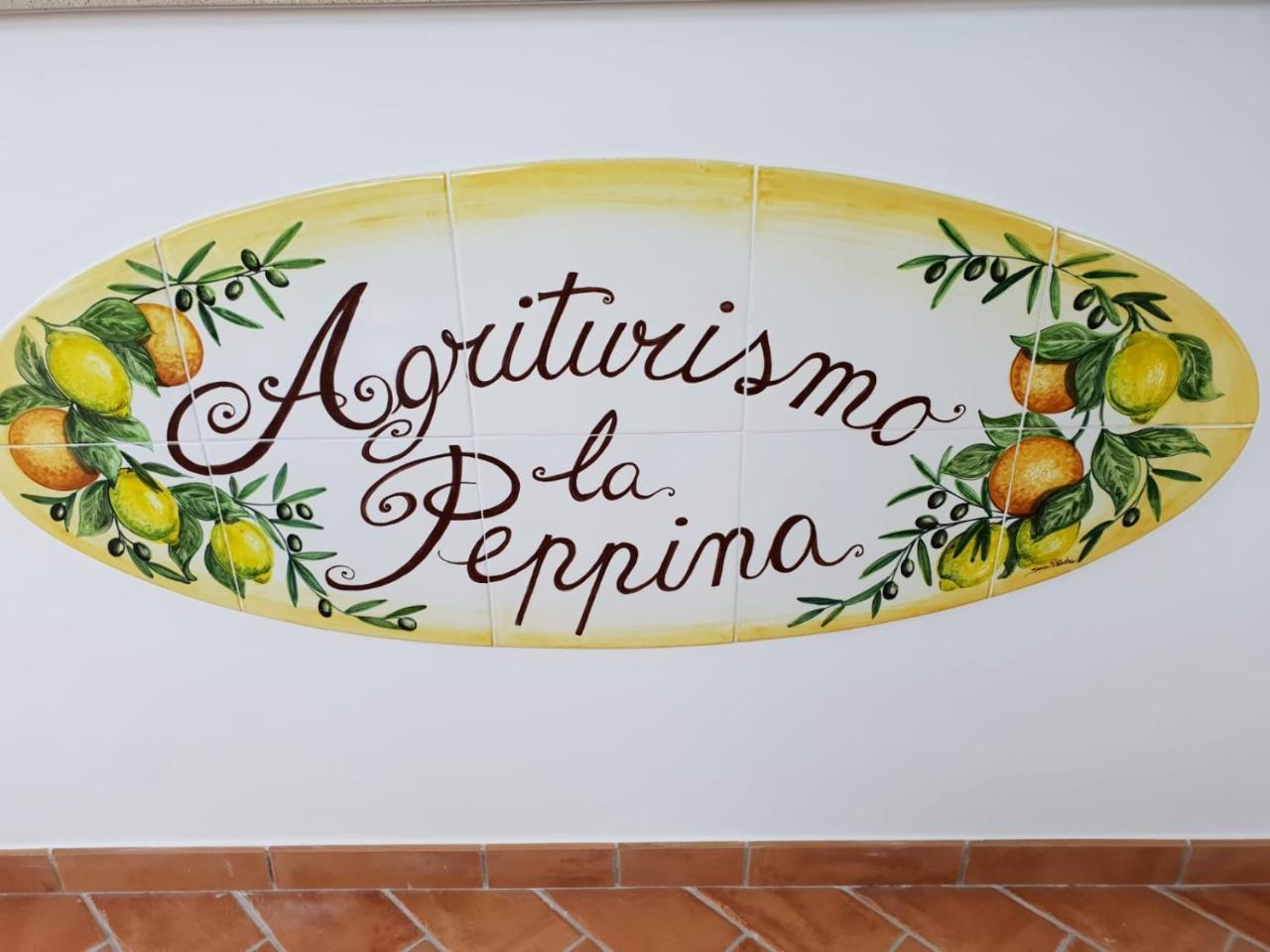 Agriturismo La Peppina 马萨鲁布朗斯 外观 照片
