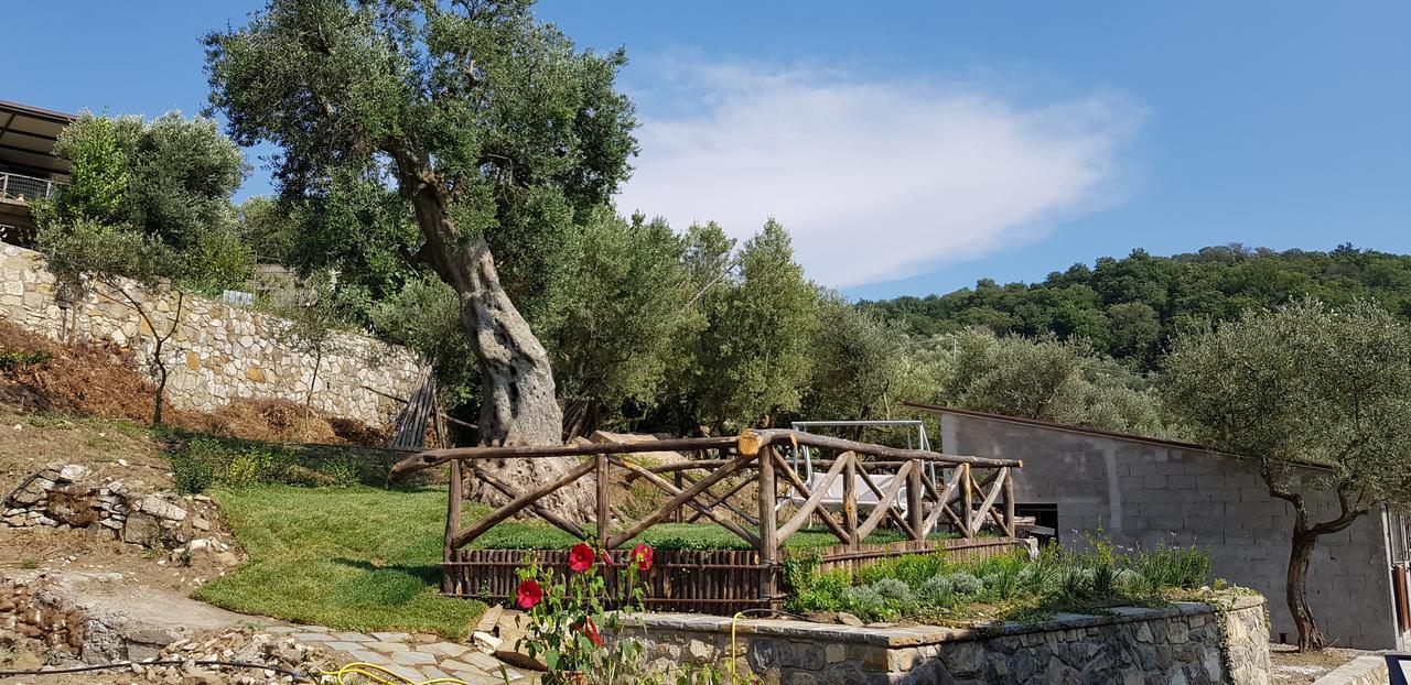 Agriturismo La Peppina 马萨鲁布朗斯 外观 照片