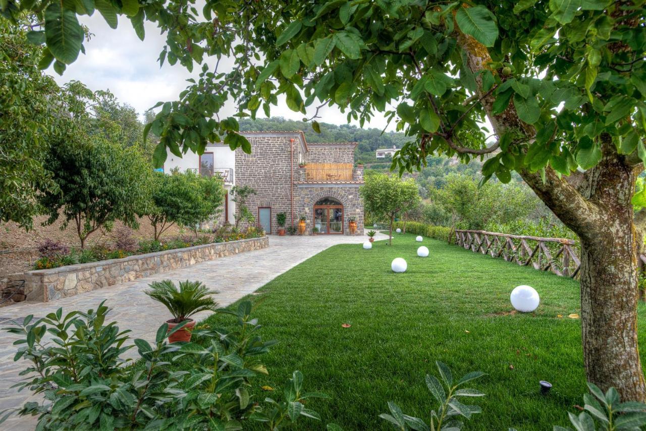 Agriturismo La Peppina 马萨鲁布朗斯 外观 照片